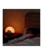 Bodyclock STARTER 30