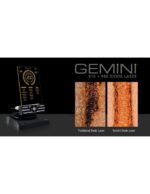 Gemini 810 + 980 Laser diodowy do tkanek miękkich